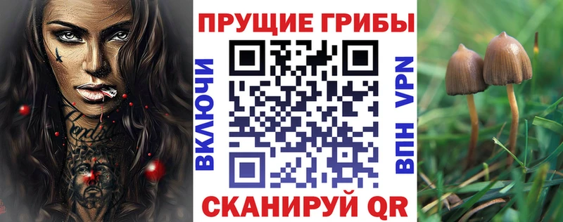 Купить  Видное  Галлюциногенные грибы Magic Shrooms 